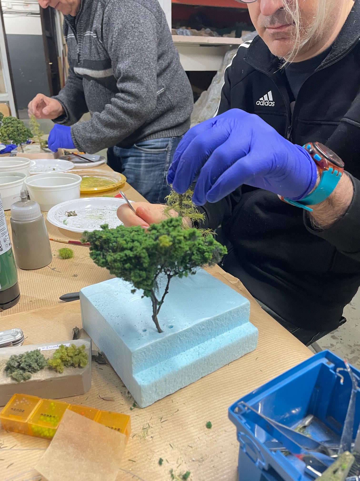 Taller de vegetación y árboles en miniatura DOMINGO 27 DE SEPTIEMBRE