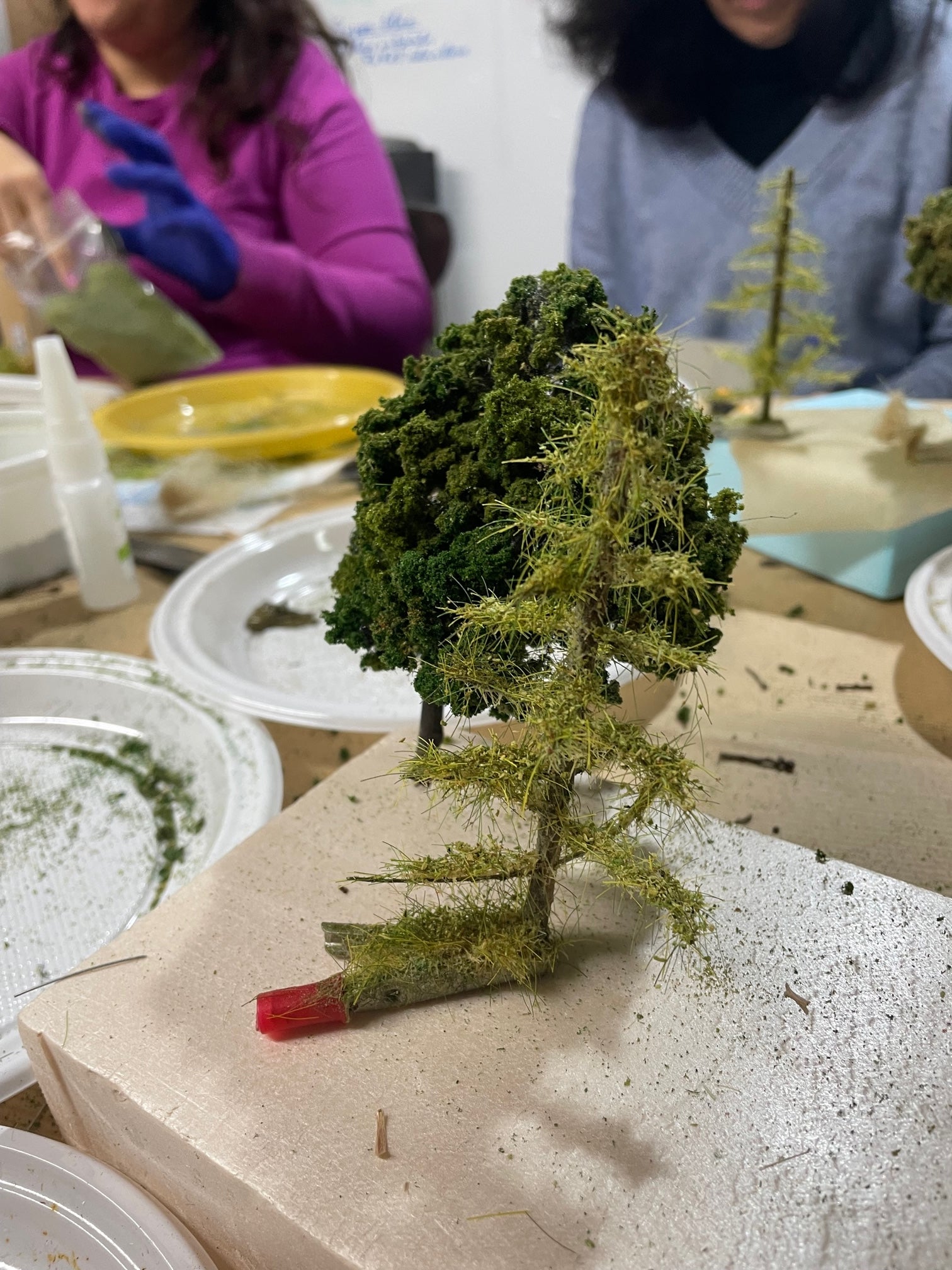 Taller de vegetación y árboles en miniatura DOMINGO 27 DE SEPTIEMBRE