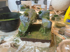 Taller de dioramas SÁBADO 24 OCTUBRE